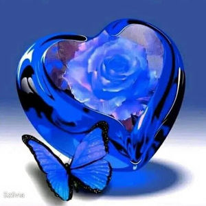 Meet your Posher, Juana